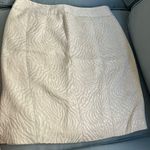 Ann Taylor Loft Zebra Print Skirt Photo 0