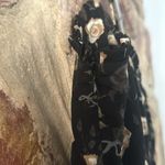 Commense Floral Ruffle Hem Dress size small Black Photo 4