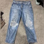 American Eagle AE Strigid Mom Jean Photo 0