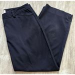 Talbots  | Women’s Cropped Pleated Dress Pants Slacks | 8 Photo 0