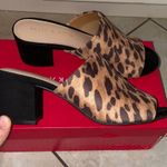 Kelly & Katie  Borea Cheetah Mule Sandal Photo 1