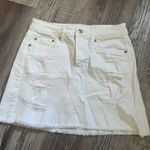 American Eagle Outfitters High Waisted Skirt Photo 0