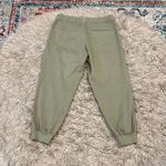 Garnet Hill  Pima Cotton Ankle Pants size small Photo 3