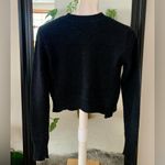 ALC Frank A.L.C. Wool Alpaca Cropped Sweater Photo 1