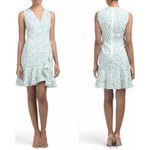 Rebecca Taylor Emerald Daisy Print Ruffle Hem Dress Photo 1