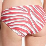 Michael Kors  Zebra Print Bikini Bottoms Photo 1