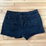 City Chic  Denim 22 Black Distressed Denim Cutoff Shorts Photo 1