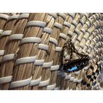 West Germany black onyx cubic zirconia twisted gold tone adjustable band VTG Photo 1