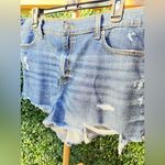 Aerie  Daydream Denim Short size Large Photo 6