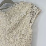Lily Brown Lace Fit & Flare Dress Sz 0 Floral Crochet Romantic Glam Tulle Fairy Photo 3