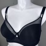 Paramour Harmony T Photo 2