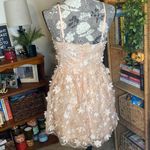 Lulus Feeling Flirty Blush Pink Floral Applique Mini Skater Dress Photo 4