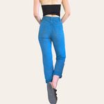American Vintage 80s/90s vintage teal high waisted mom jeans MIchael G. 24/25/26 Photo 1