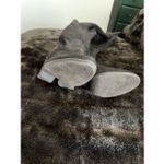 Top Moda Women Black Lace Up Over the Knee Chunky Heel Boots size 10  Photo 3