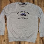 Patagonia crewneck sweatshirt Photo 0