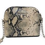 Steve Madden Maggie Snakeskin Crossbody Bag Purse Photo 1
