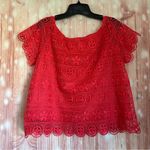5|48  Raspberry Red Short Sleeve Crochet Blouse Photo 5