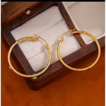 Round Planting Stainless Steel 18K gold plated‎ Hoop Earrings Photo 1