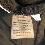 Ann Taylor Shorts Photo 8