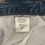 J. Galt  Brandy Melville Denim Low Rise Flair Jeans Photo 2