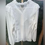 W By Worth  Swiss Dot Ruffle Sheer Blouse Size Medium Photo 7