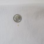 Vintage 90s Cozumel Mexico Neon Fish Shirt White Photo 6