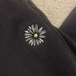 Hollister  Joggers Photo 1