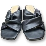 Everlane Women's Black Twisted Strap Mules Block Heel Size 6 Classic Minimalist Photo 2