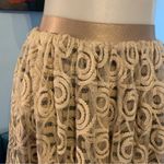 Fracomina lace maxi skirt 42 s small beige EUC striped lined slit Size 2 Photo 2