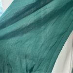 Lulus  Talk About Divine NWT size 3X Hunter Green Long Sleeve Backless Maxi Dress Photo 5