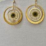 Real Pressed Daisy Resin Earrings in Gold Tone Circles Photo 1