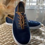 P&Co GH Bass &  Navy Suede Navigate Sneakers Photo 0
