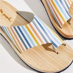 Free People NWOT  Striped Woodlands Platform Clog Sandal Photo 0