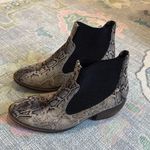 Boutique Snakeskin Booties  Photo 2