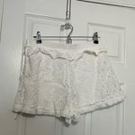 IRO Mikos Broderie Anglaise Cotton Shorts Photo 7