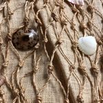 SHELL Straw Purse BAG Photo 5