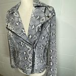 Liverpool Jeans Company Liverpool Los Angeles Python Print Moto Jacket Photo 1