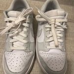 Nike Grey Dunks Photo 5