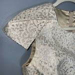 Badgley Mischka Belle Gold Cap Sleeve Crop Top Exposed Gold Zipper Back Size 8 Photo 4