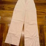 Express Neutral Wide Leg Pants Photo 0