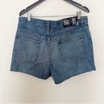 Urban Outfitters BDG Low Rise Boyfriend Jean Shorts Button Fly Size 30 NEW Blue Photo 1