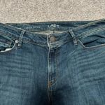 Ann Taylor Loft Blue Curvy Skinny Jeans Photo 1