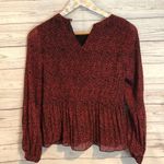 ZARA NWT  Animal Print blouse Photo 0