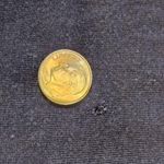 Donna Karan Sleepwear Navy Blue Sleep Top, Small Photo 4