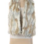 Forever 21 Faux-Fur Vest Photo 0