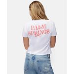 Wildfox Palm Springs Jamie Tee SZ Small NWT T-Shirt White Embroidered Spritzing Photo 1