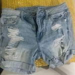 america eagle Blue Photo 0