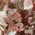 Hutch Anthropologie x Strapless Cropped Wide Leg Metallic Floral Jumpsuit Size 8 Photo 7