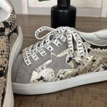 Steve Madden Women's Snake Print Sneakers - Gray and Cream Photo 1