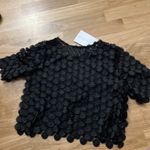 Alexis NWT  sheer black floral applique crop top Photo 5